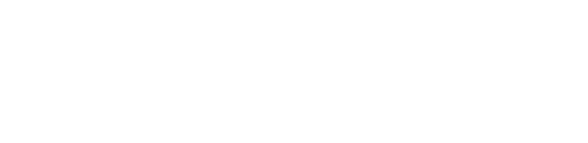 black point logo